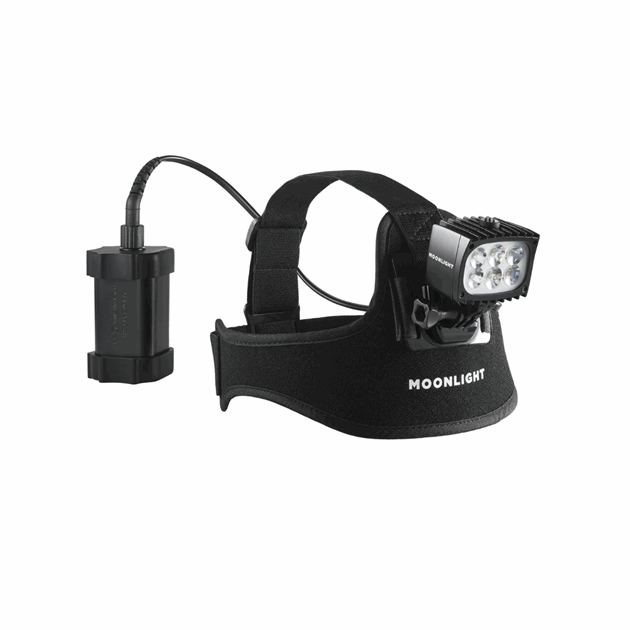 Untitled Design(10).png
